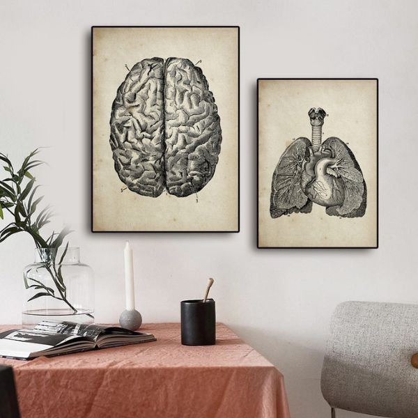 vintage anatomical posters deco