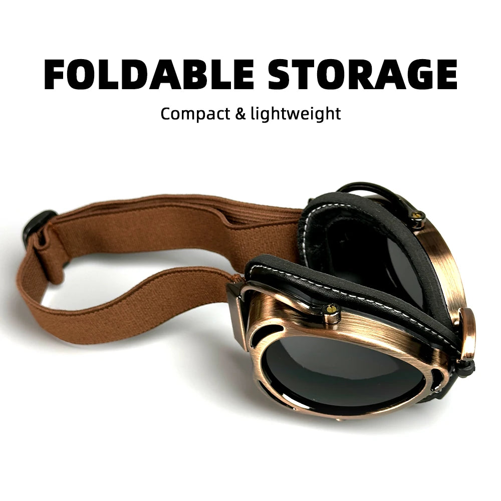 Vintage Aviator Goggle