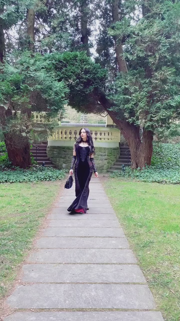 Vampire gothic victorian dress
