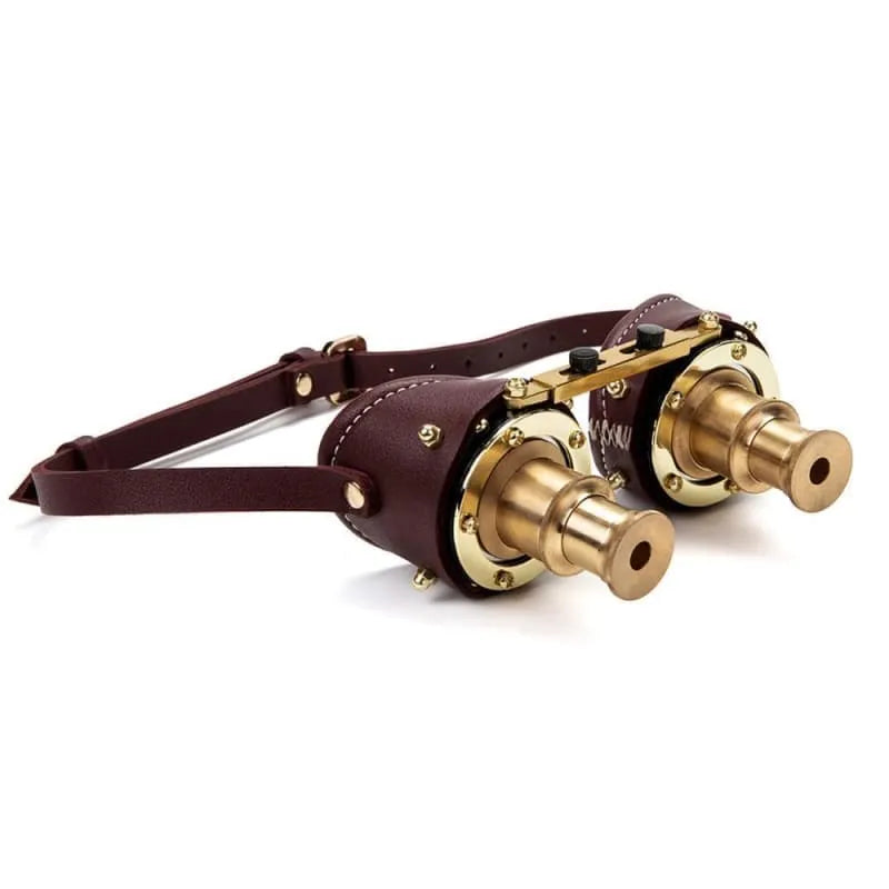 Dr Frankenstein Steampunk glasses