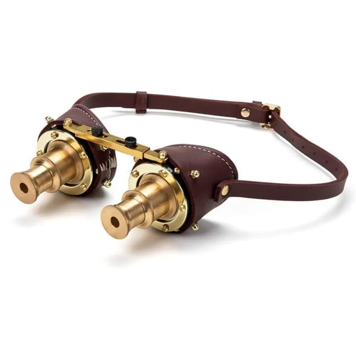 Dr Frankenstein Steampunk glasses
