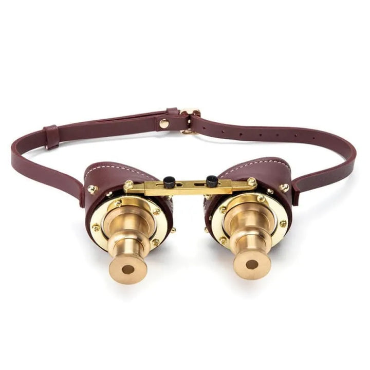Dr Frankenstein Steampunk glasses
