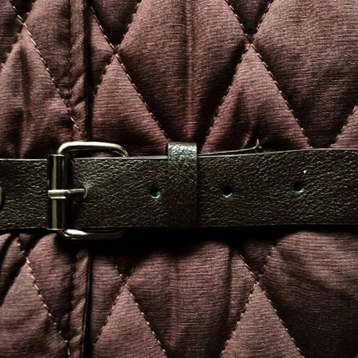 Elegant brown steampunk vest