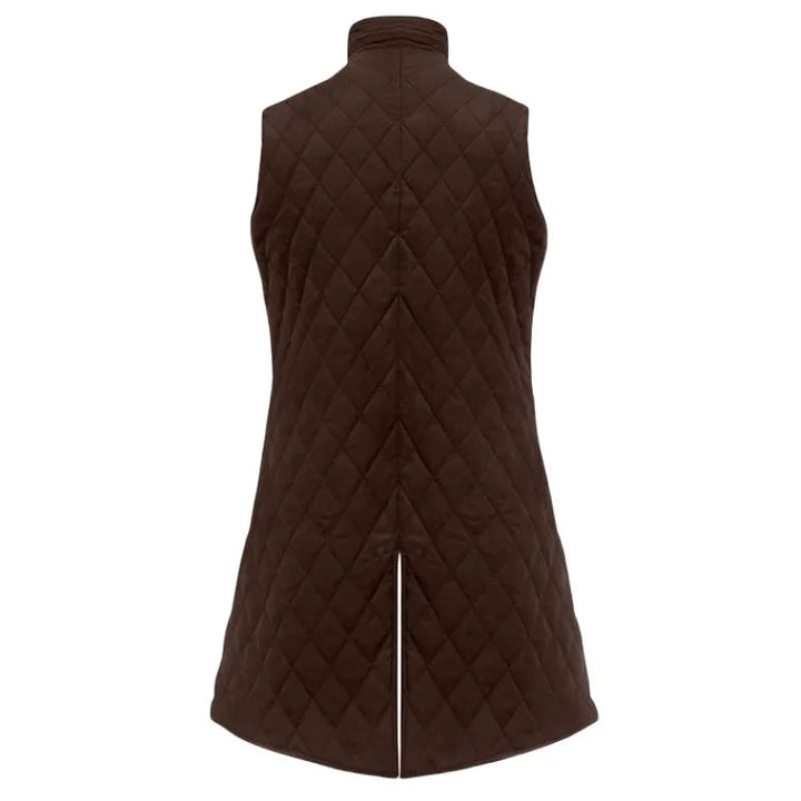 Elegant brown steampunk vest