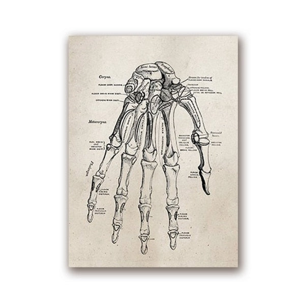 Steampunk hand bones drawing