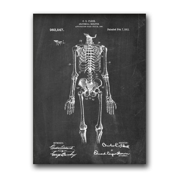 Steampunk bones anatomy drawing