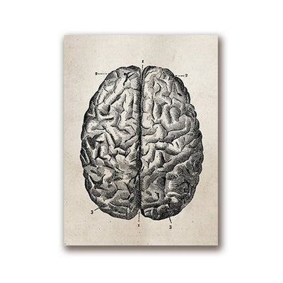 poster of a vintage brain drawing