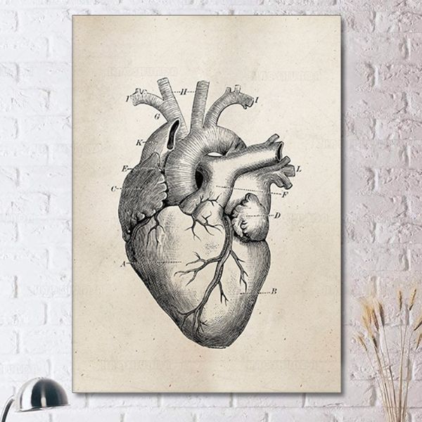 The World of the Mind Expressed in Drawings | Heart pencil drawing, Heart  drawing, Anatomical heart drawing